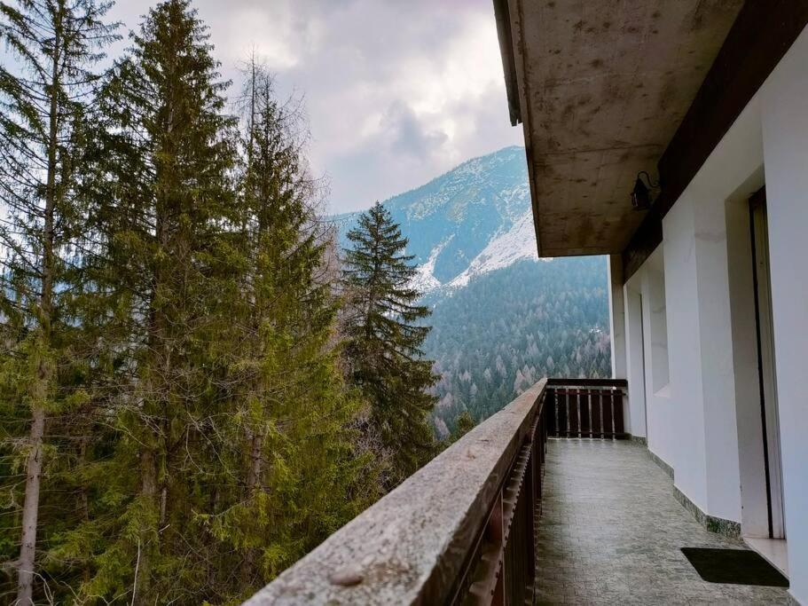 Il Terrazzo Sulle Dolomiti Apartment Cibiana Exterior foto