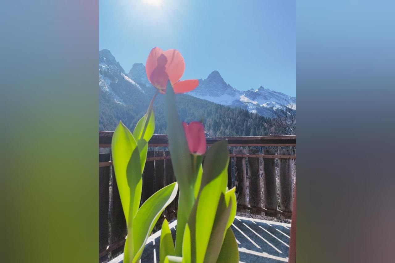 Il Terrazzo Sulle Dolomiti Apartment Cibiana Exterior foto