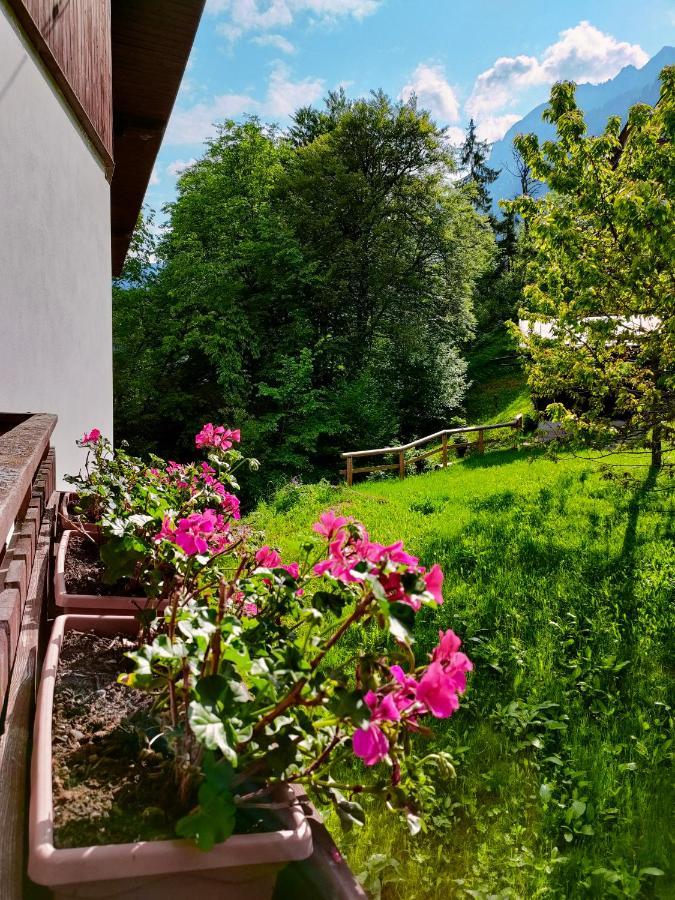 Il Terrazzo Sulle Dolomiti Apartment Cibiana Exterior foto